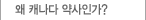 왜 캐나다 약사인가